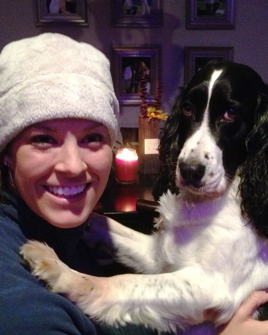 Roswell, an English springer spaniel, with her handler